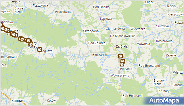 mapa Binczarowa, Binczarowa na mapie Targeo