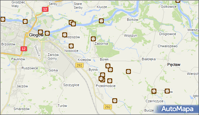 mapa Borek gmina Głogów, Borek gmina Głogów na mapie Targeo