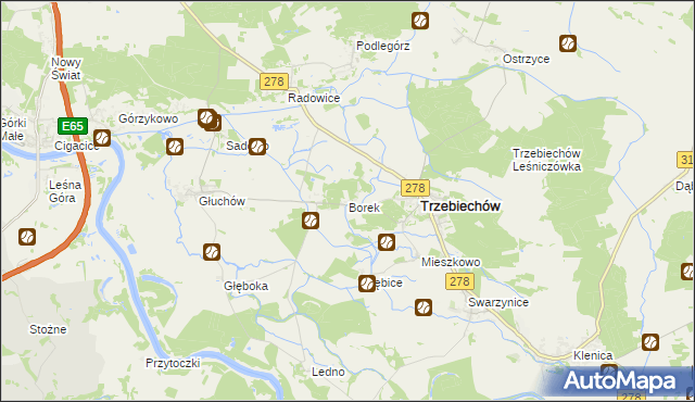 mapa Borek gmina Trzebiechów, Borek gmina Trzebiechów na mapie Targeo