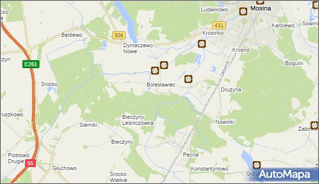 mapa Borkowice gmina Mosina, Borkowice gmina Mosina na mapie Targeo