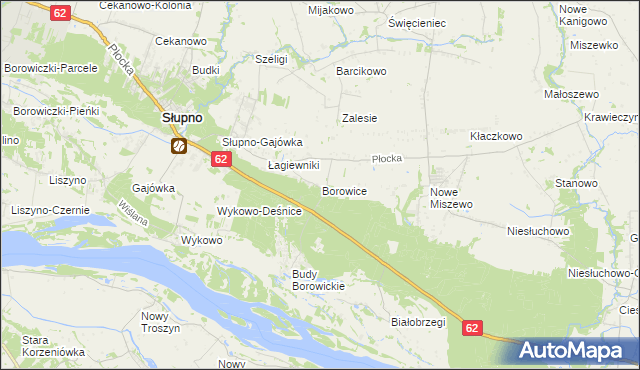 mapa Borowice gmina Bodzanów, Borowice gmina Bodzanów na mapie Targeo