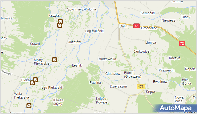 mapa Borzewisko gmina Poddębice, Borzewisko gmina Poddębice na mapie Targeo