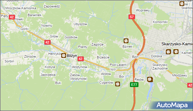 mapa Brzeście gmina Bliżyn, Brzeście gmina Bliżyn na mapie Targeo