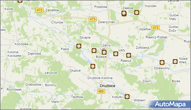 mapa Brzezie gmina Drużbice, Brzezie gmina Drużbice na mapie Targeo