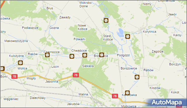 mapa Brzeźnica gmina Jędrzejów, Brzeźnica gmina Jędrzejów na mapie Targeo