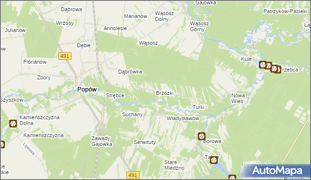 mapa Brzózki gmina Popów, Brzózki gmina Popów na mapie Targeo