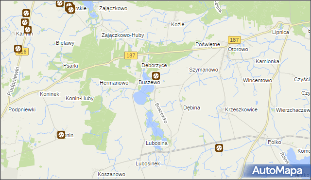 mapa Buszewko gmina Pniewy, Buszewko gmina Pniewy na mapie Targeo