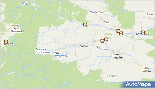 mapa Cewków, Cewków na mapie Targeo