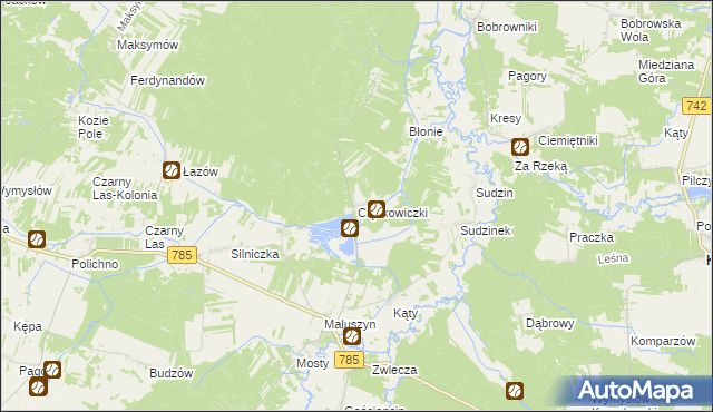 mapa Ciężkowiczki, Ciężkowiczki na mapie Targeo