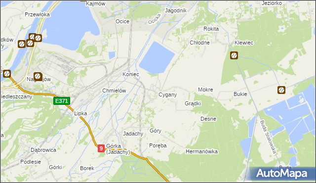 mapa Cygany gmina Nowa Dęba, Cygany gmina Nowa Dęba na mapie Targeo