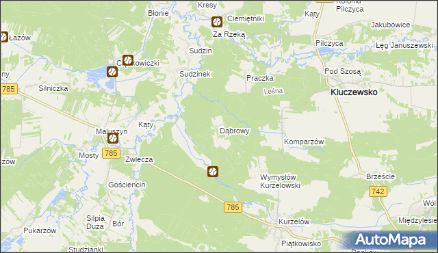 mapa Dąbrowy gmina Kluczewsko, Dąbrowy gmina Kluczewsko na mapie Targeo