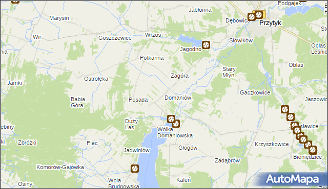 mapa Domaniów gmina Przytyk, Domaniów gmina Przytyk na mapie Targeo