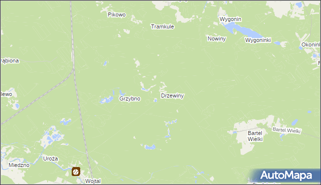 mapa Drzewiny, Drzewiny na mapie Targeo