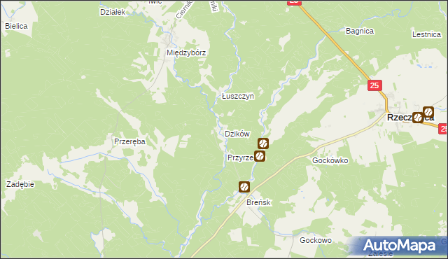 mapa Dzików gmina Rzeczenica, Dzików gmina Rzeczenica na mapie Targeo