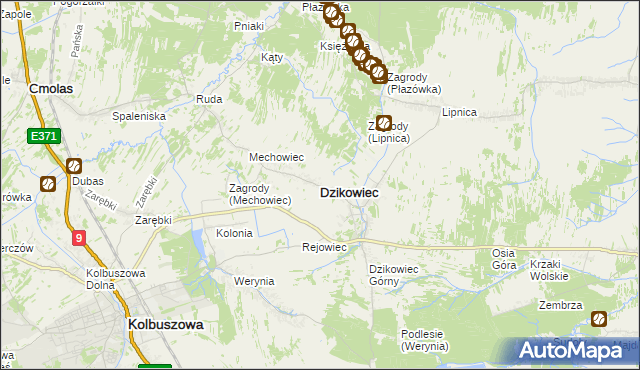 mapa Dzikowiec powiat kolbuszowski, Dzikowiec powiat kolbuszowski na mapie Targeo