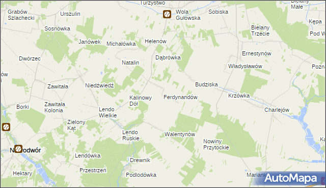 mapa Ferdynandów gmina Adamów, Ferdynandów gmina Adamów na mapie Targeo