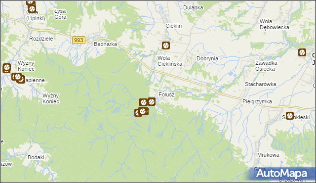 mapa Folusz gmina Dębowiec, Folusz gmina Dębowiec na mapie Targeo