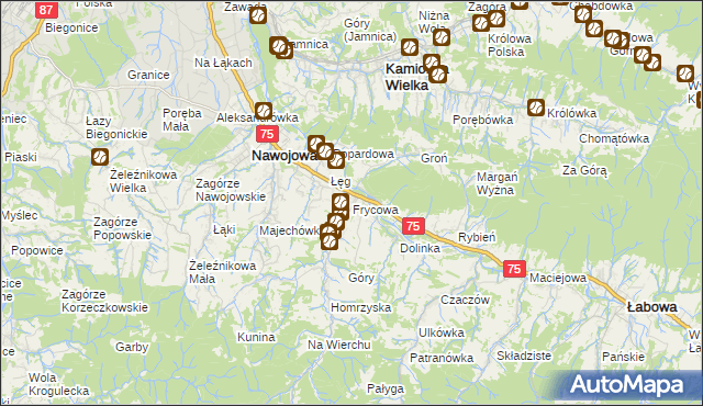 mapa Frycowa, Frycowa na mapie Targeo