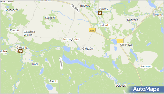 mapa Gałęzów gmina Dębnica Kaszubska, Gałęzów gmina Dębnica Kaszubska na mapie Targeo