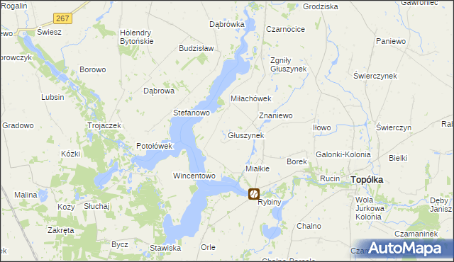 mapa Głuszynek, Głuszynek na mapie Targeo