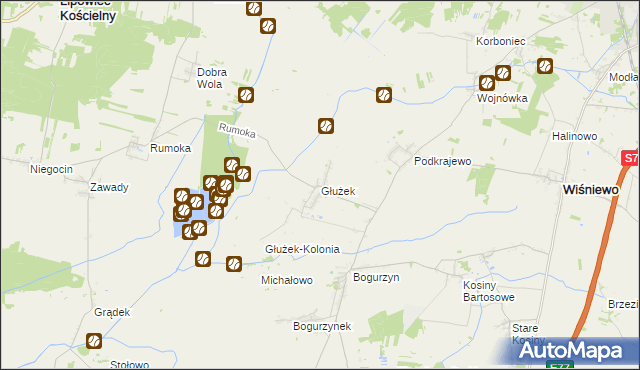 mapa Głużek, Głużek na mapie Targeo