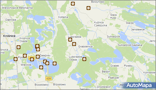 mapa Grabownica gmina Krośnice, Grabownica gmina Krośnice na mapie Targeo