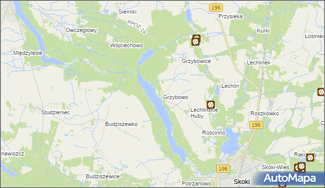 mapa Grzybowo gmina Skoki, Grzybowo gmina Skoki na mapie Targeo