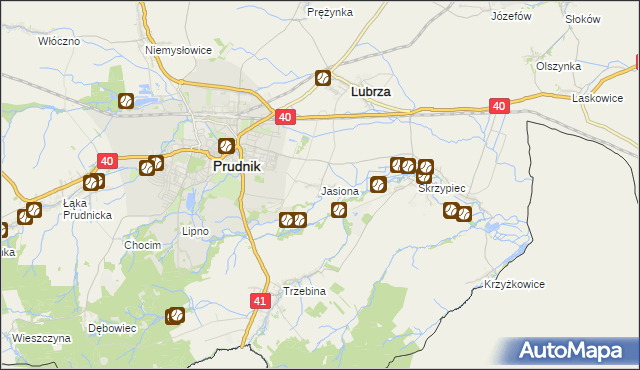 mapa Jasiona gmina Lubrza, Jasiona gmina Lubrza na mapie Targeo