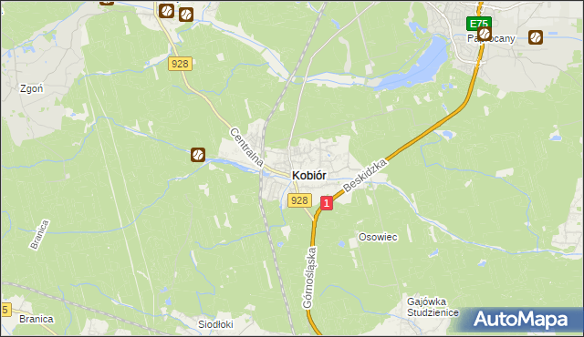 mapa Kobiór, Kobiór na mapie Targeo
