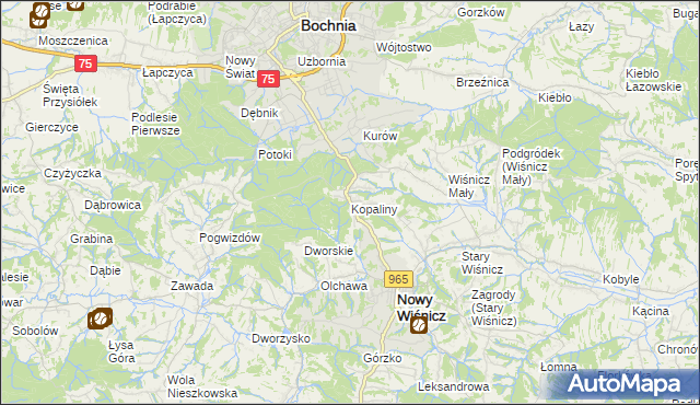 mapa Kopaliny gmina Nowy Wiśnicz, Kopaliny gmina Nowy Wiśnicz na mapie Targeo