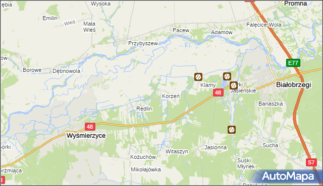 mapa Korzeń gmina Wyśmierzyce, Korzeń gmina Wyśmierzyce na mapie Targeo