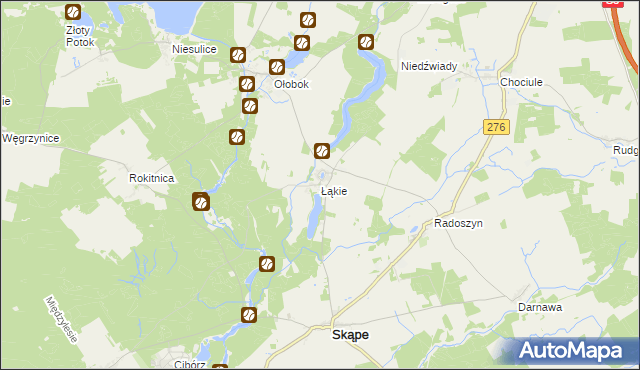 mapa Łąkie gmina Skąpe, Łąkie gmina Skąpe na mapie Targeo