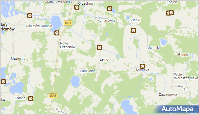 mapa Lejno, Lejno na mapie Targeo
