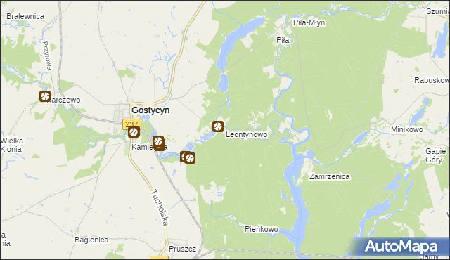 mapa Leontynowo, Leontynowo na mapie Targeo