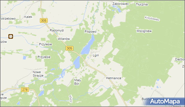 mapa Lgiń, Lgiń na mapie Targeo