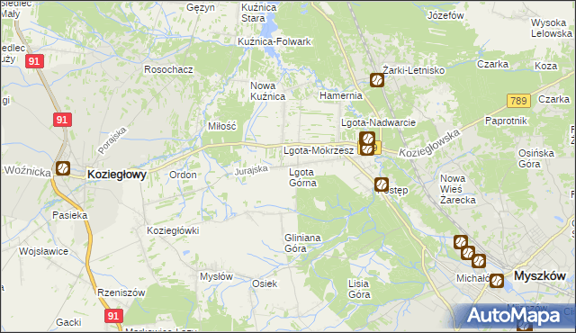 mapa Lgota Górna, Lgota Górna na mapie Targeo