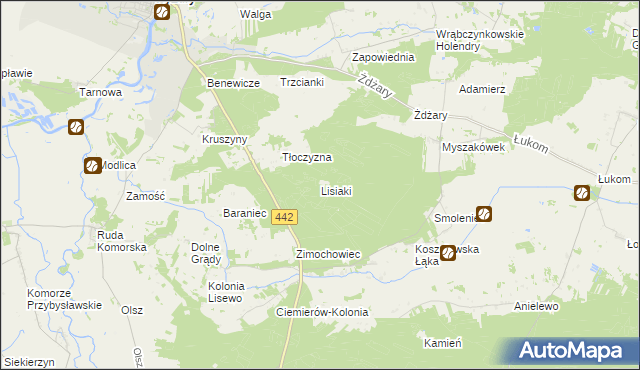 mapa Lisiaki gmina Pyzdry, Lisiaki gmina Pyzdry na mapie Targeo