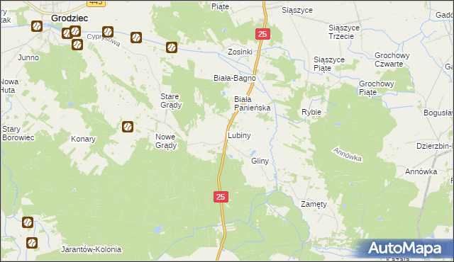 mapa Lubiny gmina Rychwał, Lubiny gmina Rychwał na mapie Targeo