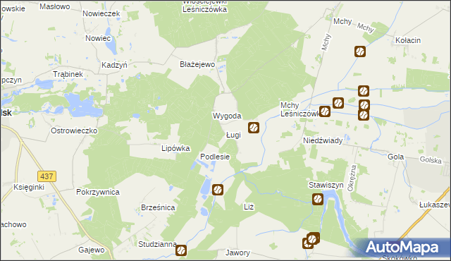 mapa Ługi gmina Książ Wielkopolski, Ługi gmina Książ Wielkopolski na mapie Targeo