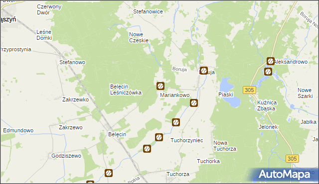 mapa Mariankowo gmina Siedlec, Mariankowo gmina Siedlec na mapie Targeo