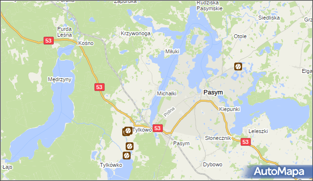 mapa Michałki gmina Pasym, Michałki gmina Pasym na mapie Targeo