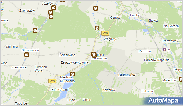 mapa Miedzna Drewniana, Miedzna Drewniana na mapie Targeo