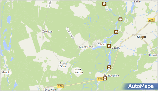 mapa Międzylesie gmina Skąpe, Międzylesie gmina Skąpe na mapie Targeo