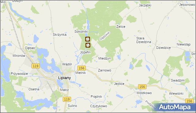 mapa Miedzyn, Miedzyn na mapie Targeo