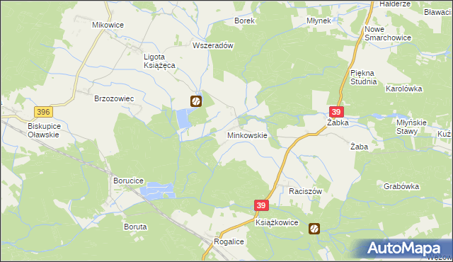 mapa Minkowskie, Minkowskie na mapie Targeo