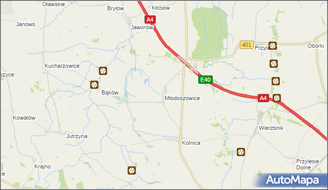 mapa Młodoszowice, Młodoszowice na mapie Targeo