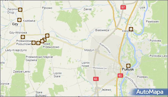 mapa Moszyn, Moszyn na mapie Targeo