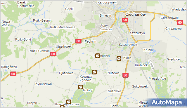 mapa Niechodzin, Niechodzin na mapie Targeo