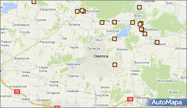 mapa Oleśnica powiat staszowski, Oleśnica powiat staszowski na mapie Targeo