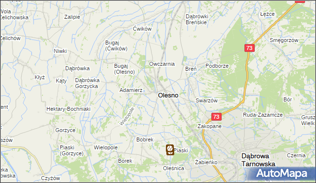 mapa Olesno powiat dąbrowski, Olesno powiat dąbrowski na mapie Targeo